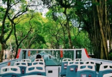 10 trải nghiệm đẹp để ‘nhớ mùa thu Hà Nội’